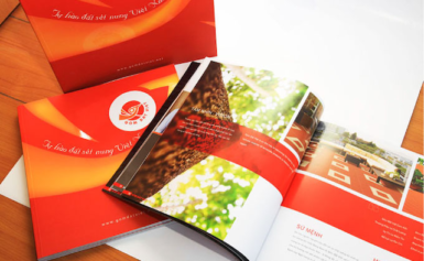 Những điểm khác biệt giữa Profile công ty, Catalogue và Brochure