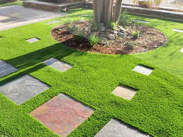 Trồng cỏ ở Bình Dương nên lựa chọn những loại cỏ nào cho sân vườn?