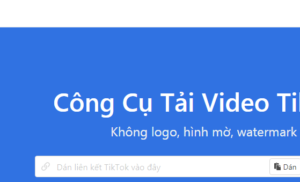 Top 4 ứng dụng tải video TikTok không dính logo bạn cần biết