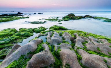 Khám Phá Tất Tần Tật Về Chi Phí Và Ưu Đãi Tour Ninh Chữ 3 Ngày 2 Đêm