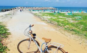 Du Lịch Lagi Bình Thuận 2 Ngày 1 Đêm Cần Lưu Ý Gì?