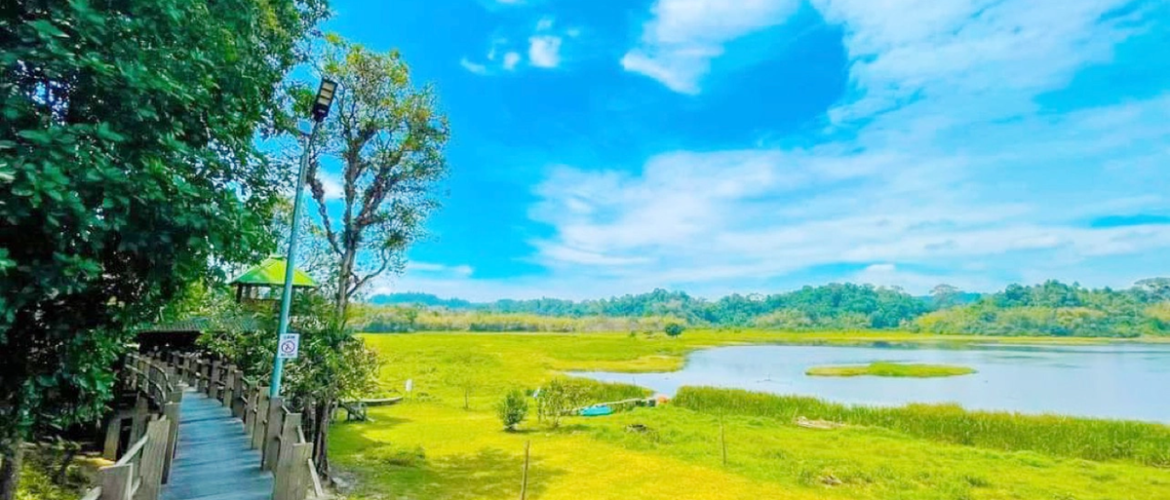 Kinh Nghiệm Du Lịch Nam Cát Tiên 1 Ngày