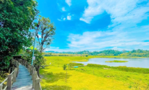 Kinh Nghiệm Du Lịch Nam Cát Tiên 1 Ngày