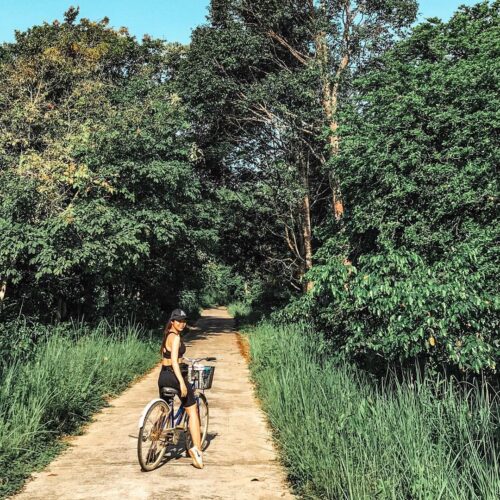 Vườn Quốc Gia Nam Cát Tiên2