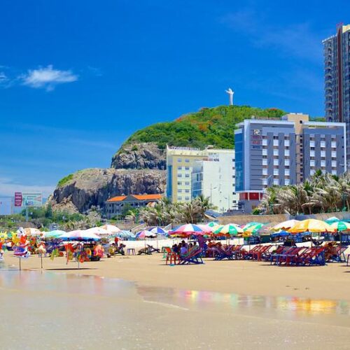 Bai sau vung tau