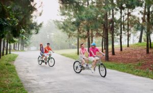 Khám Phá 5 Địa Điểm Tham Quan Độc Đáo Tại Flamingo Đại Lải
