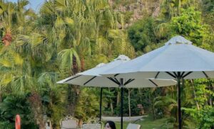 Khám Phá Những Địa Điểm Lưu Trú Tại Minawa Kênh Gà Resort