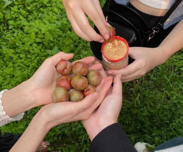 Gợi Ý Lịch Trình Mộc Châu 2 Ngày 1 Đêm Được Du Khách Yêu Thích Năm 2025