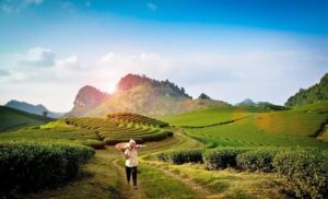 Thông Tin Chi Tiết Về Giá Vé Tham Quan Các Điểm Đến Nổi Bật Tại Mộc Châu 