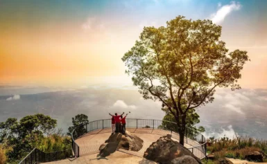 Hướng Đi Tây Ninh 1 Ngày Dễ Dàng Từ TP.HCM