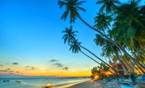 Những Địa Điểm Thưởng Thức Ẩm Thực Ngon Khó Cưỡng Khi Đi Du Lịch Phan Thiết