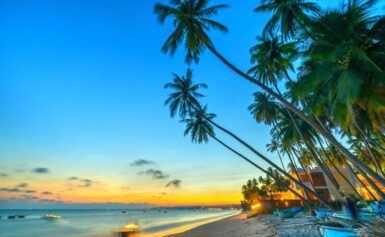 Những Địa Điểm Thưởng Thức Ẩm Thực Ngon Khó Cưỡng Khi Đi Du Lịch Phan Thiết