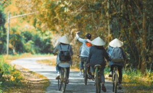 Các Điểm Tham Quan Nổi Bật Nên Kết Hợp Khi Du Lịch Nam Cát Tiên 2 Ngày 1 Đêm