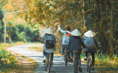 Các Điểm Tham Quan Nổi Bật Nên Kết Hợp Khi Du Lịch Nam Cát Tiên 2 Ngày 1 Đêm