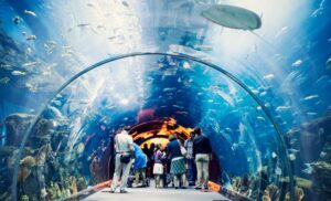 Gợi Ý Tổ Chức Team Building Kết Hợp Tour Suối Tiên 1 Ngày