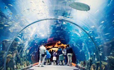 Gợi Ý Tổ Chức Team Building Kết Hợp Tour Suối Tiên 1 Ngày