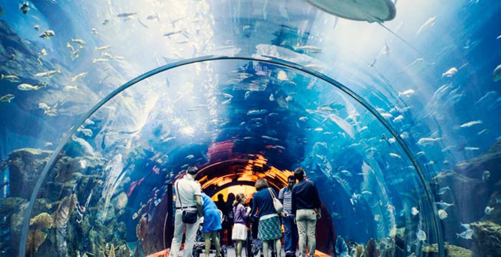 Gợi Ý Tổ Chức Team Building Kết Hợp Tour Suối Tiên 1 Ngày