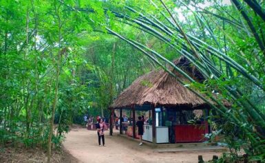 Thông Tin Mới Nhất Về Giá Vé Tham Quan Củ Chi Năm 2026