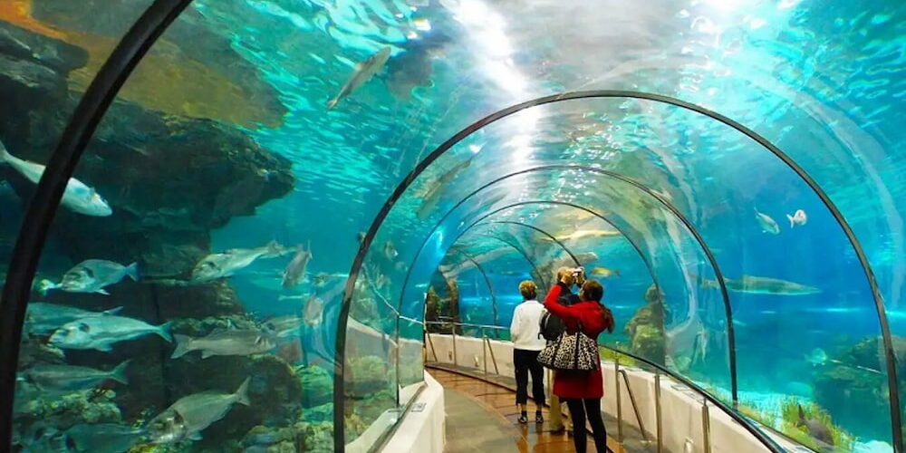 Cách Di Chuyển Đến Suối Tiên 1 Ngày Thuận Tiện Nhất