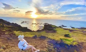 Chi Phí Tour Phú Quý 3 Ngày 2 Đêm Đã Bao Gồm Những Dịch Vụ Nào?