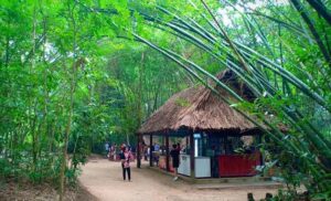 Tìm Hiểu Giá Vé Tham Quan, Du Lịch Củ Chi 2026