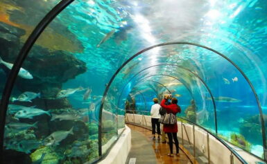Chi Tiết Các Dịch Vụ Trong Giá Tour Suối Tiên 1 Ngày