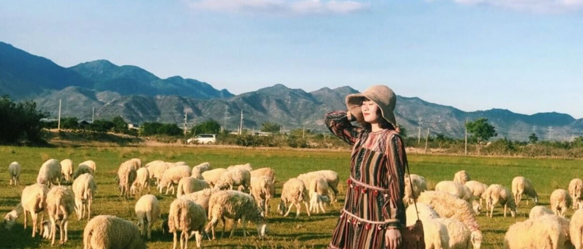Thông Tin Giá Tour Ninh Chữ 3 Ngày 2 Đêm Và Các Dịch Vụ Bao Gồm