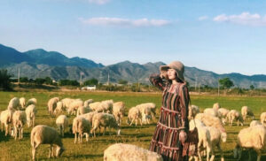 Thời Khắc Nào Là Tuyệt Nhất Để Khởi Hành Đến Phan Rang 3 Ngày 2 Đêm?