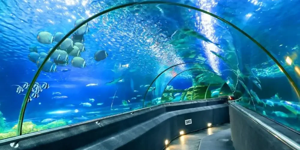 Cẩm Nang Trọn Bộ Giúp Bạn Tối Ưu Chuyến Vi Vu Nha Trang 3 Ngày 2 Đêm