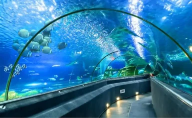 Cẩm Nang Trọn Bộ Giúp Bạn Tối Ưu Chuyến Vi Vu Nha Trang 3 Ngày 2 Đêm